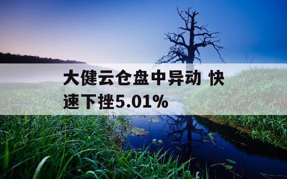 大健云仓盘中异动 快速下挫5.01%