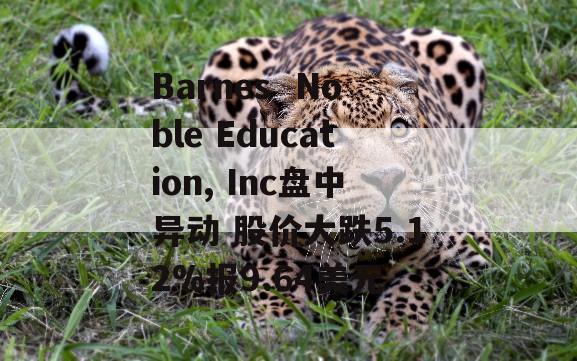 Barnes  Noble Education, Inc盘中异动 股价大跌5.12%报9.64美元