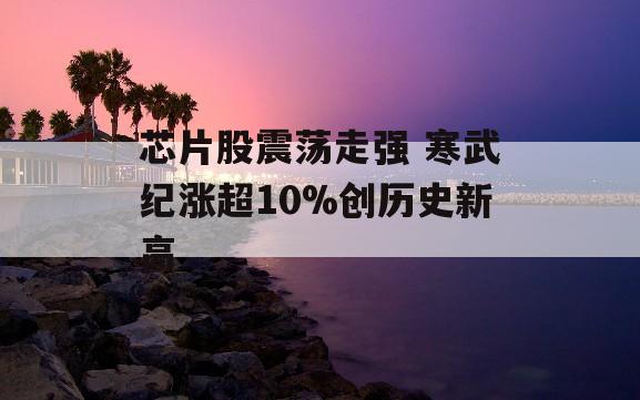 芯片股震荡走强 寒武纪涨超10%创历史新高